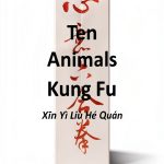 Gadfly Books 4th Edition Martial Arts eBook for Teens-0