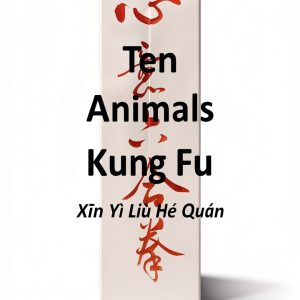 Gadfly Books 4th Edition Martial Arts eBook for Teens-0