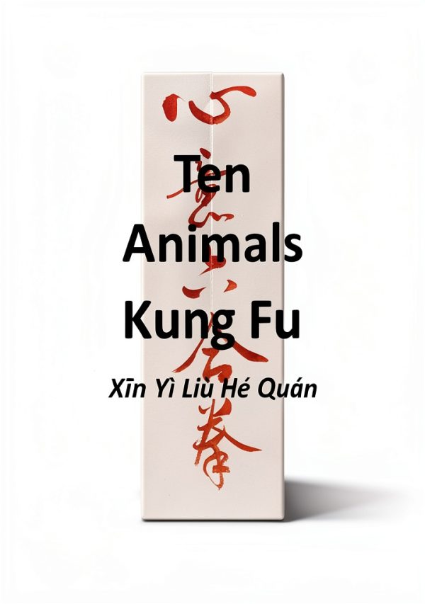 Gadfly Books 4th Edition Martial Arts eBook for Teens-0