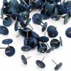 (500 Pack) Round Plastic Cap Nail 1 Inch Roofing Nails Galvanized Tar Paper Nails for House Wrap Fastening Foam Board Roofing Felt Insulation Film (500)-2